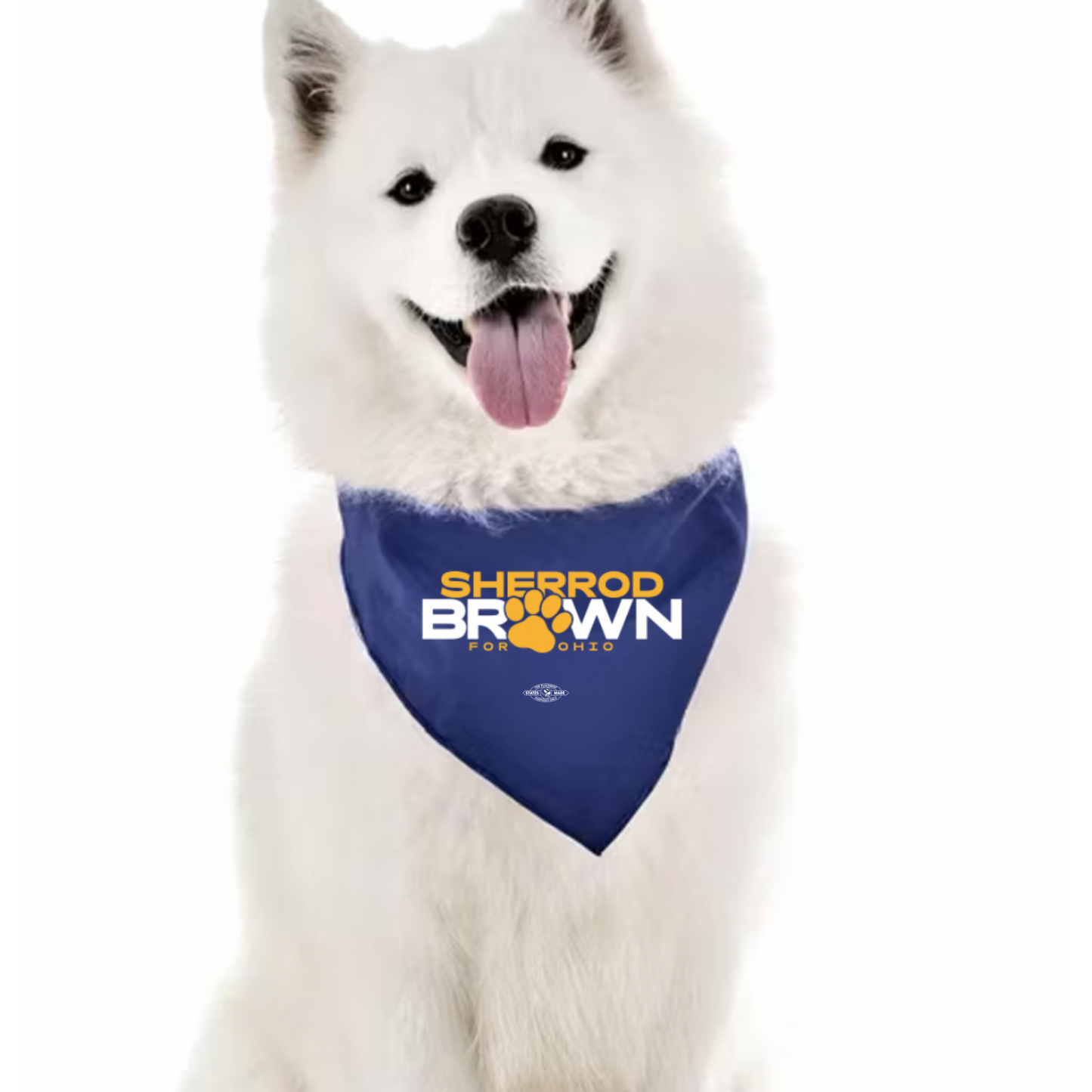 Paws for Brown Logo Bandana